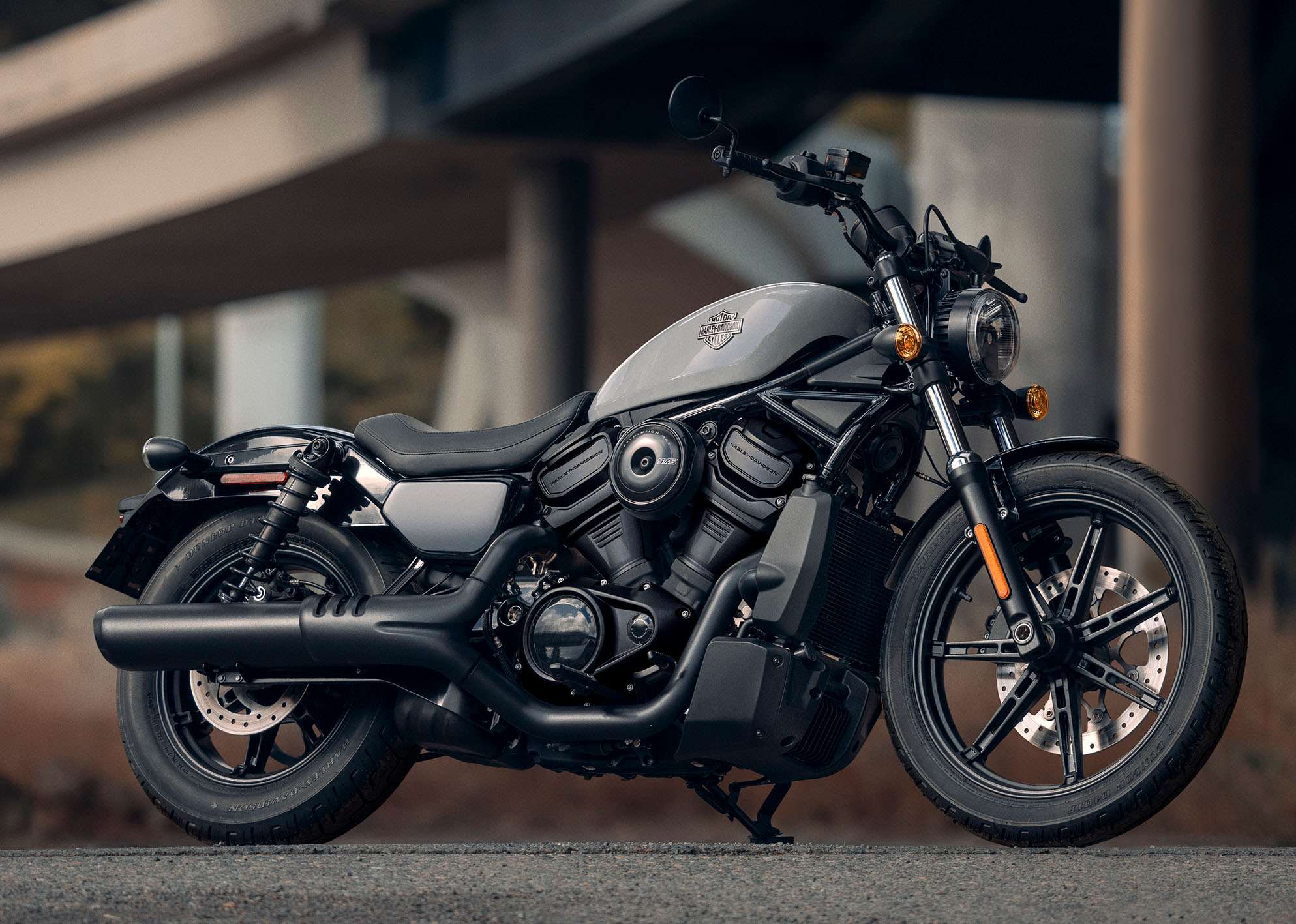 2025-nightster-gallery-1