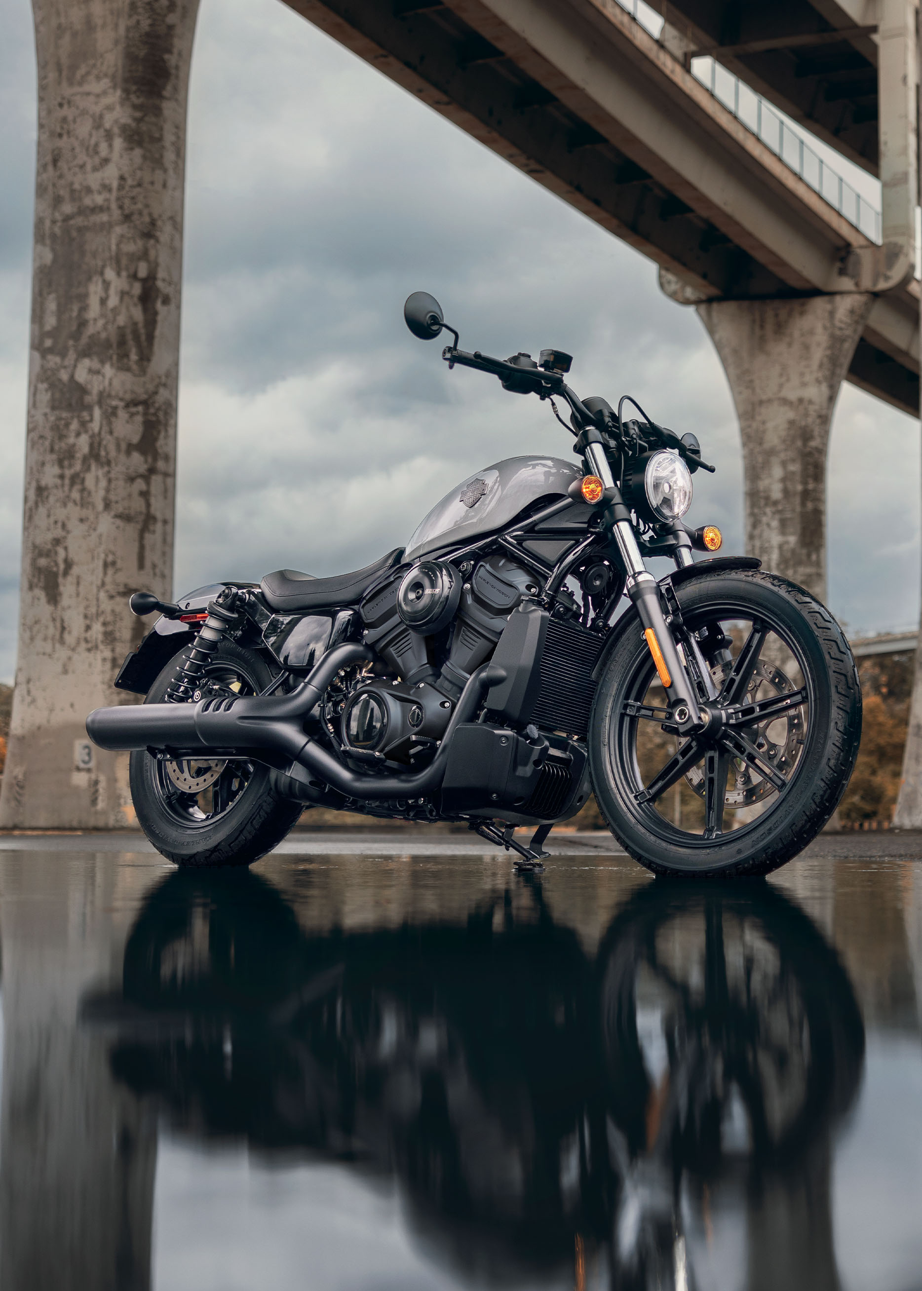 2025-nightster-gallery-4